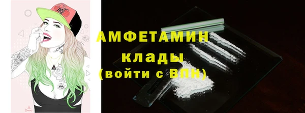 mdpv Краснослободск