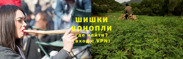 mdpv Краснослободск